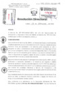 Vista preliminar de documento Resolucion Directoral Hospital Nacional Daniel Alcides Carrion