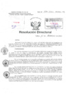Vista preliminar de documento Resolucion Directoral  Hospital Nacional Daniel Alcides Carrion