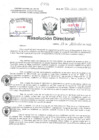 Vista preliminar de documento Resolucion Directoral Hospital Nacional Daniel Alcides Carrion