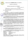 Vista preliminar de documento RGM 229-2024