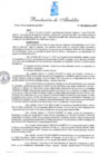 Vista preliminar de documento RESOLUCION DE ALCALDIA N°295-2023