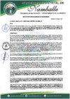 Vista preliminar de documento DIRECTIVA N°005 