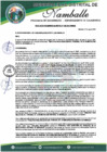Vista preliminar de documento DIRECTIVA