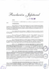 Vista preliminar de documento Resolución Jefatural N° 1262-2024-RE