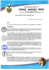 Vista preliminar de documento RESOLUCION DE ALCALDIA N° 264-2021-ALC-MDTAI