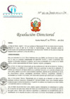 Vista preliminar de documento RD N° 30-02-2018-HCLLH-SA