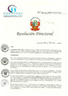 Vista preliminar de documento RD N° 33-02-2018-HCLLH-SA