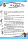 Vista preliminar de documento RESOLUCION DE ALCALDIA N° 282-2021-ALC-MDTAI