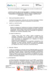 Vista preliminar de documento TDR - 2501