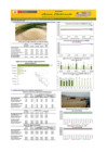 Vista preliminar de documento Boletín de abastecimiento y precio del ARROZ - 09/08/2024
