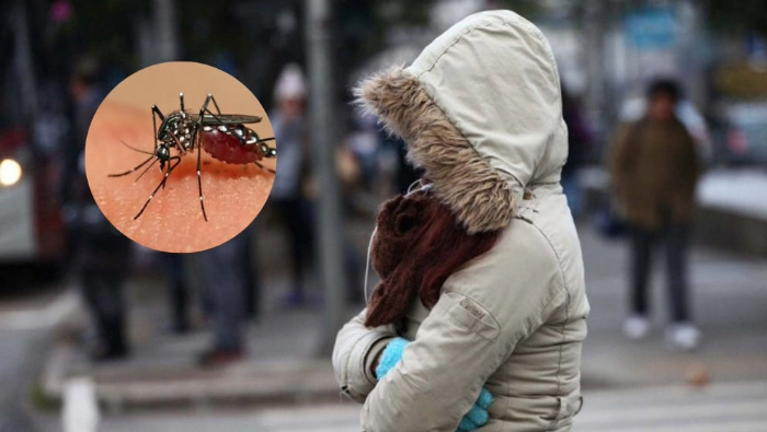Dengue Invierno