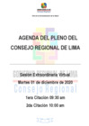 Vista preliminar de documento AGENDA DE LA SESION 029-2020-CR