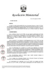 Vista preliminar de documento RM N° 00807-2024-DE (Designar al Sr. José Luis Rojas Alcocer en el cargo de Jefe de OGAJ)
