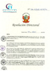 Vista preliminar de documento RD N° 95-04-2018-HCLLH-SA