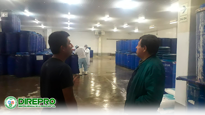 Supervisión Técnica Ambiental al EPA