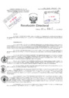 Vista preliminar de documento Resolucion Directoral Hospital Nacional Daniel Alcides Carrion