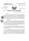 Vista preliminar de documento Resolucion Directoral Hospital Nacional Daniel Alcides Carrion