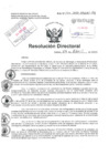 Vista preliminar de documento Resolucion Directoral Hospital Nacional Daniel Alcides Carrion 