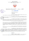 Vista preliminar de documento RD Nº001044 06-03-2023