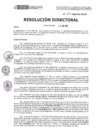 Vista preliminar de documento RD-225-2024-DE-HEVES