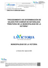 Vista preliminar de documento DIRECTIVA-000006-2024-GM