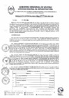Vista preliminar de documento RGR0339-2024-GRI
