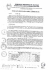 Vista preliminar de documento RGR0338-2024-GRI