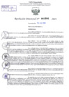 Vista preliminar de documento Resolución Directoral. N° 1994 - 2024 