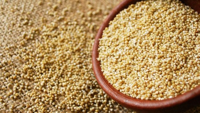 Gobierno sigue impulsando el agro para contribuir con la seguridad alimentaria del país