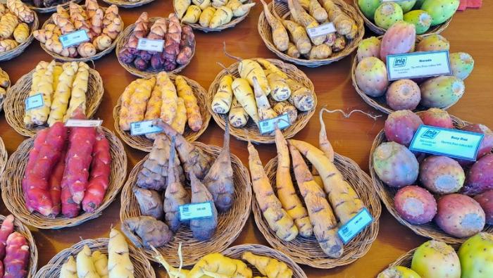 Gobierno impulsa la producción de semillas de alta calidad genética para garantizar la seguridad alimentaria en el Perú