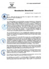 Vista preliminar de documento RD Nº 171-2024-DGINSM-HD-HN