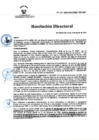 Vista preliminar de documento RD Nº 172-2024-DGINSM-HD-HN