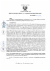 Vista preliminar de documento 153