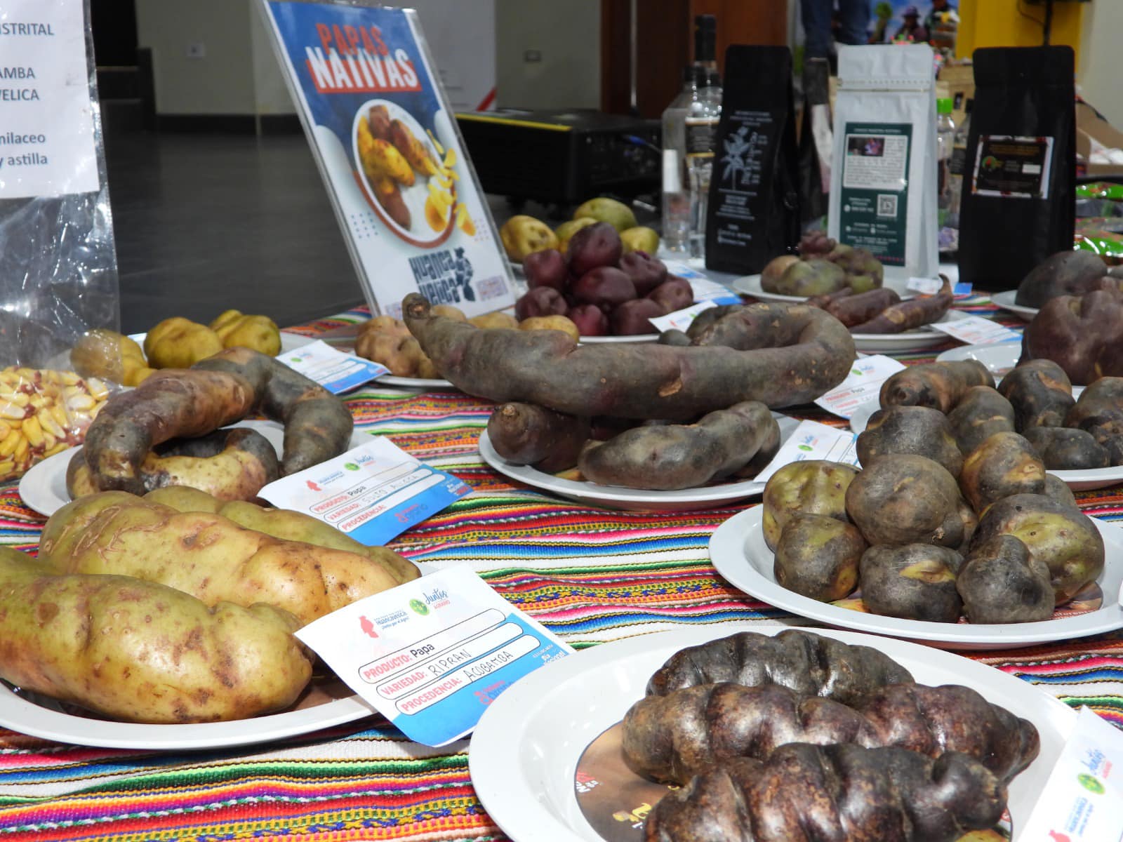 Papas nativas de la región de Huancavelica.