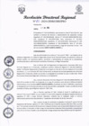 Vista preliminar de documento RESOLUCION N°181-DIREPRO