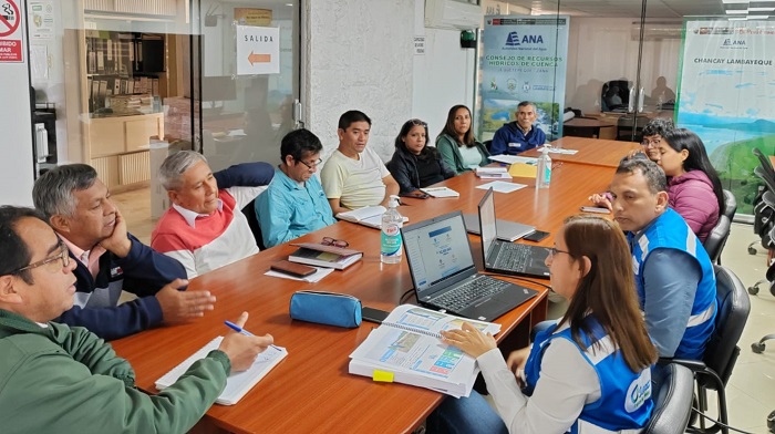actividades de socialización