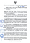Vista preliminar de documento RDR N 207-08082024170959