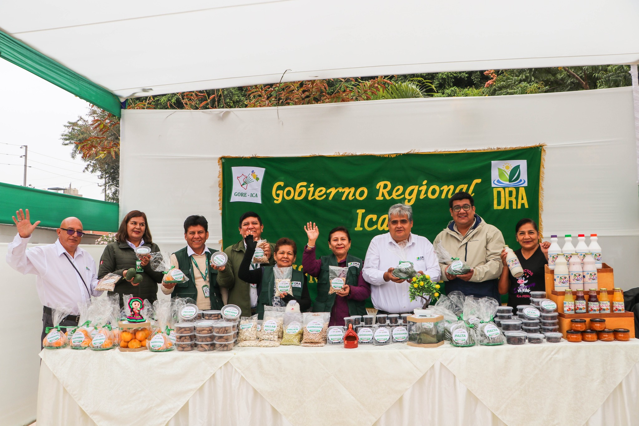Oferta productiva de Ica.