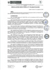 Vista preliminar de documento rd176-2024