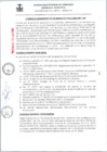 Vista preliminar de documento CAS-GM016-2024