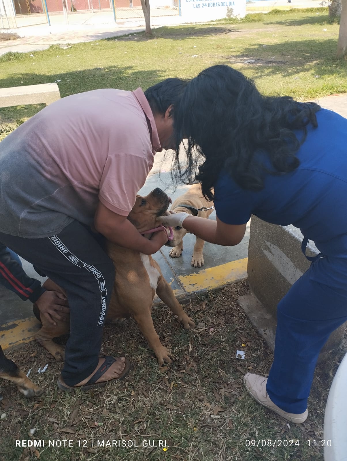 DESPARASITACIÓN DE MASCOTAS EN PJ JORGE CHÁVEZ 3