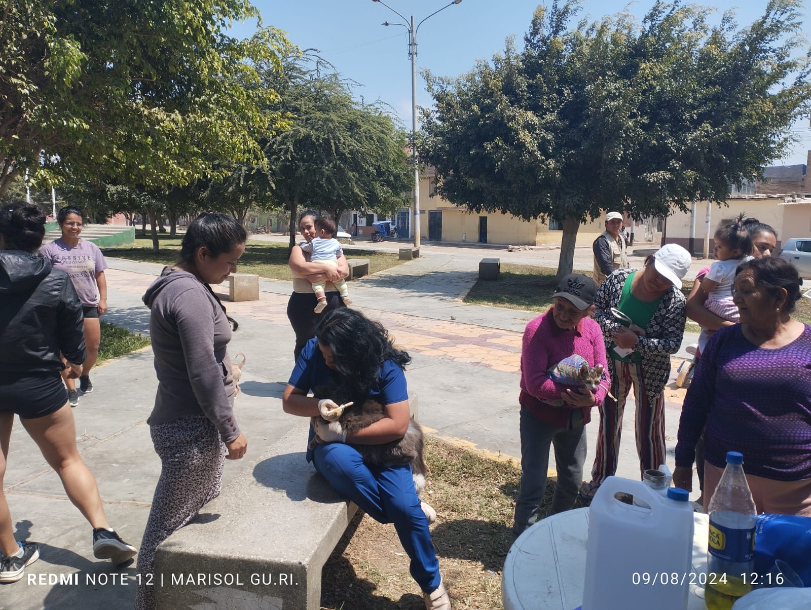 DESPARASITACIÓN DE MASCOTAS EN PJ JORGE CHÁVEZ 5