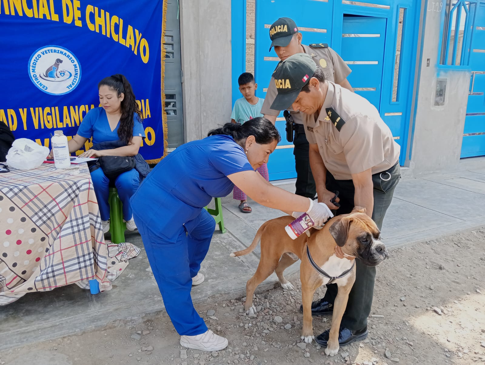 DESPARASITACIÓN DE MASCOTAS EN PJ EL MOLINO 4