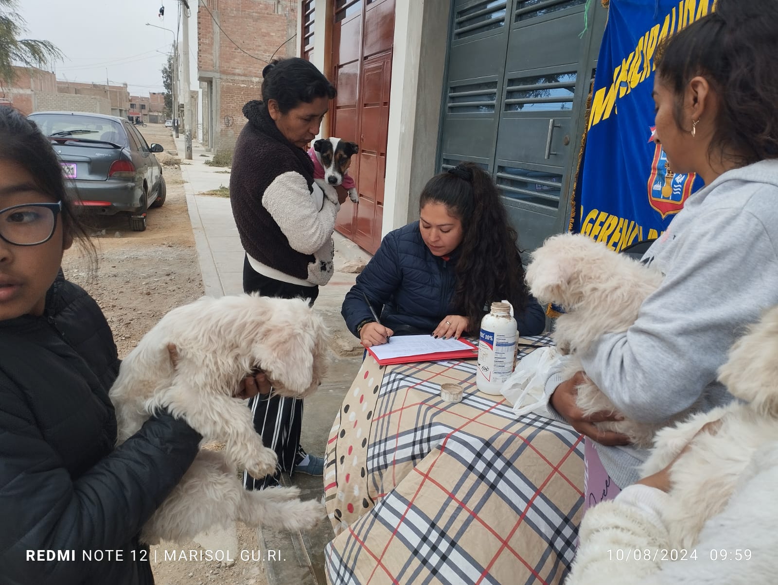 DESPARASITACIÓN DE MASCOTAS EN PJ EL MOLINO