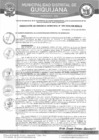 Vista preliminar de documento RGM-293-2024
