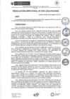 Vista preliminar de documento rd181-2024