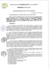 Vista preliminar de documento RGM 300-2024