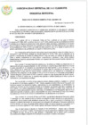Vista preliminar de documento RGM 306-2024