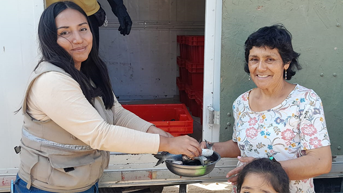 Imagen de repartición de pescado