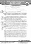 Vista preliminar de documento RGM-290-2024